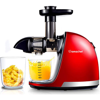 AMZCHEF Masticating Juicer